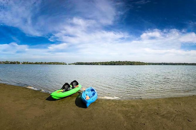 Kayaking to the Black Devil Snail Sandbar Island in Paravur Lake Near Varkala - Environmental Factors Influencing the Sandbar