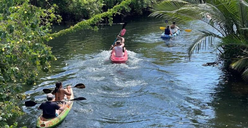 Kayaking Tour Around Green Cathedral - Good To Know