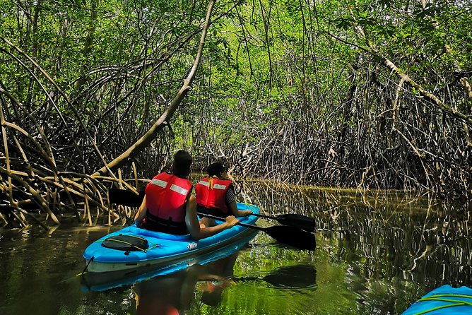 Kayaking Tour Chiriqui - Meeting Point and Logistics