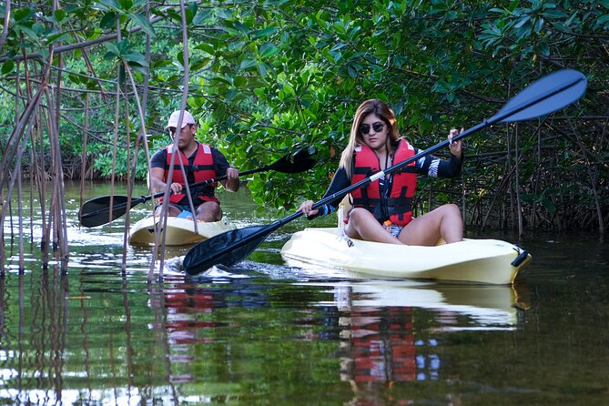 Kayaking Tour in Cancun - Tour Options and Capacity