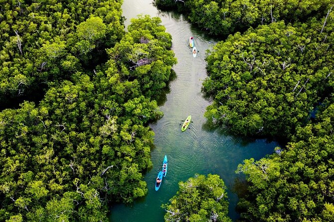 Kayaking Tour in Cancun - Meeting and End Points