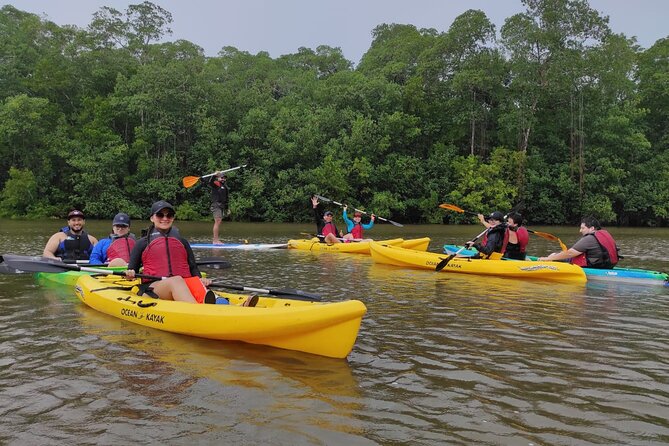 Kayaking Tour in Gandoca Lagoon Throug Mangrove Forest - Meeting and Pickup Details