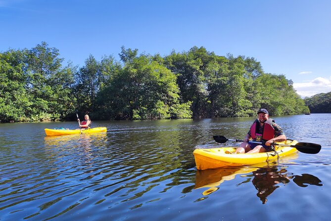 Kayaking Tour in Gandoca Lagoon Throug Mangrove Forest - Exploring the Gandoca Lagoon