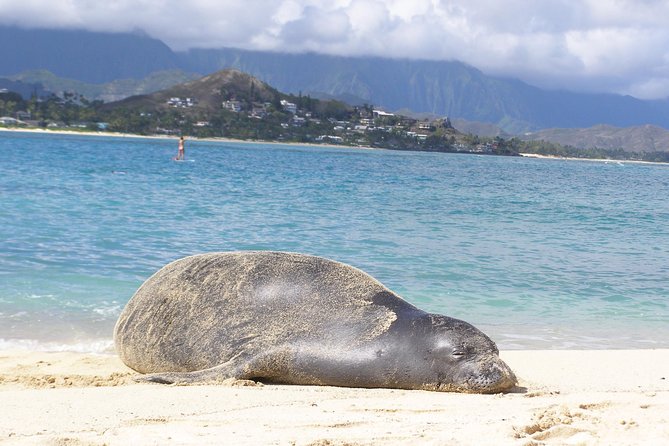 Kayaking Tour of Kailua Bay With Lunch, Oahu - Guided or Self-Guided