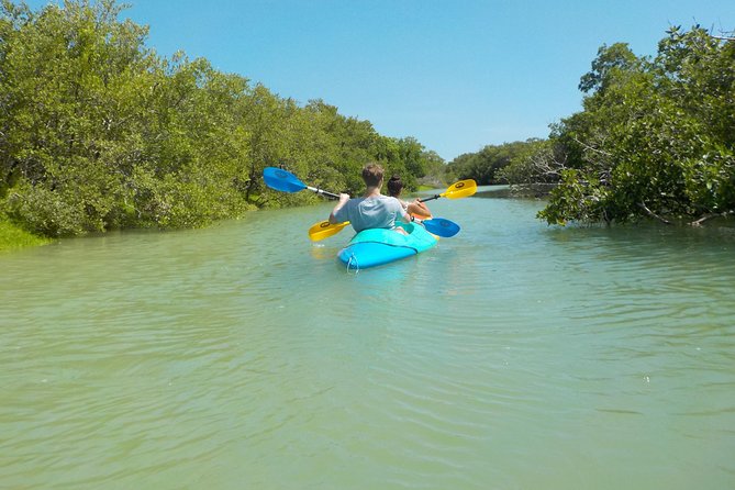 Kayaking Tour Through the Mangroves in Isla Holbox - Meeting and Transportation