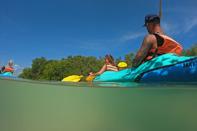 Kayaking Tour Through the Mangroves in Isla Holbox - What to Bring
