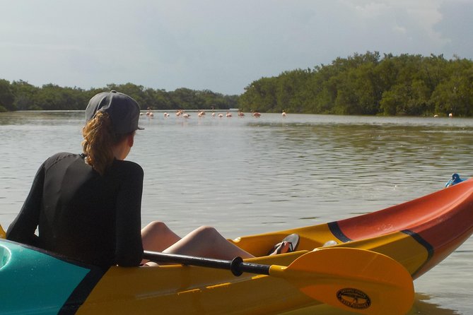 Kayaking Tour Through the Mangroves in Isla Holbox - Tour Experiences