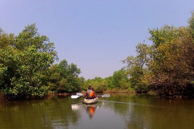 Kayaking Trails in Goa - Impressive User Reviews