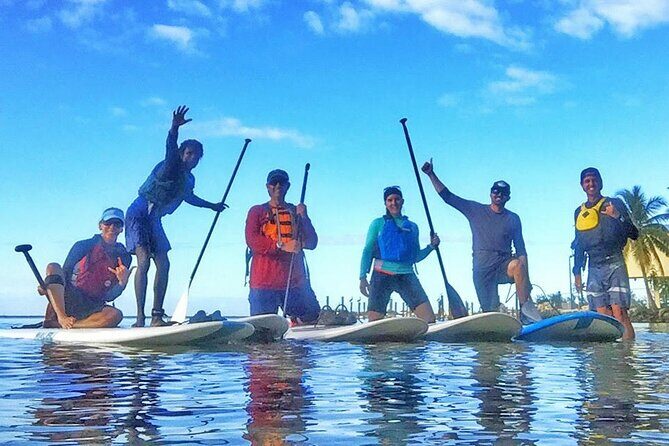Kayaking with coastal wildlife in Sarasota Bay - Key Points