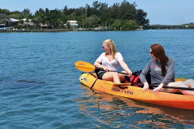 Kayaking with coastal wildlife in Sarasota Bay - FAQs