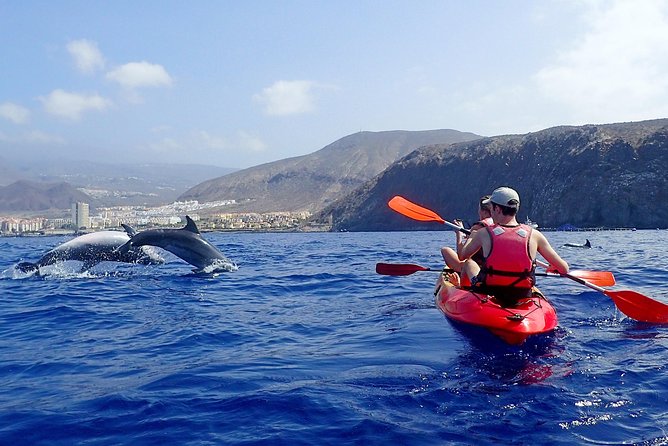 Kayaking With Dolphins and Turtles and Snorkelling in Tenerife - Meeting Point and Pickup