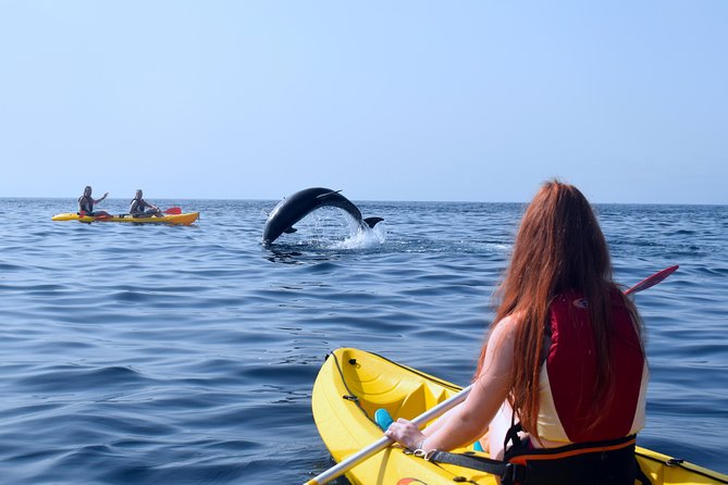 Kayaking With Dolphins and Turtles and Snorkelling in Tenerife - Tour Duration and Group Size