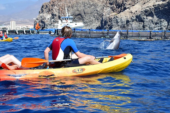Kayaking With Dolphins and Turtles and Snorkelling in Tenerife - Fitness and Age Requirements