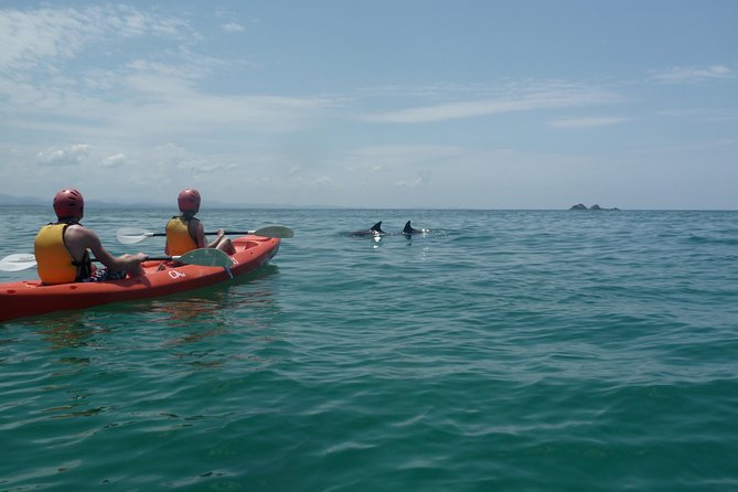 Kayaking With Dolphins in Byron Bay Guided Tour - Participant Requirements and Safety