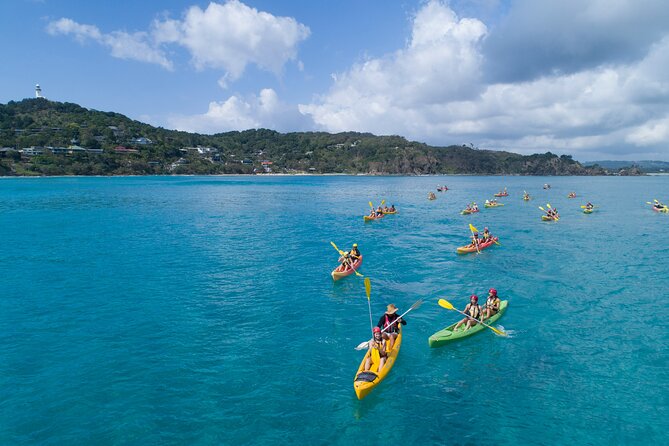 Kayaking With Dolphins in Byron Bay Guided Tour - Customer Reviews and Experiences