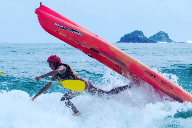 Kayaking With Dolphins in Byron Bay Guided Tour - Booking Information and Pricing