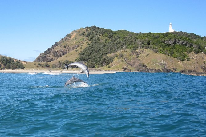 Kayaking With Dolphins in Byron Bay Guided Tour - Encountering the Dolphin Pod