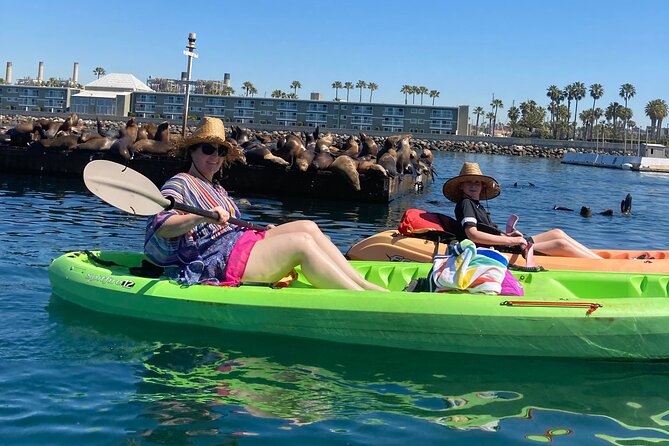 Kayaking With Sea Lions in a Calm Beautiful Harbor - Inclusions and Amenities