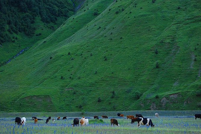 Kazbegi Adventure - Private Day Trip From Tbilisi With a Dinner + Masterclass - Tour Overview