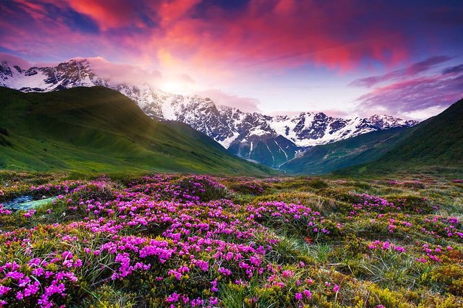 Kazbegi-Ananuri-Gergeti Private Tour - Itinerary Highlights