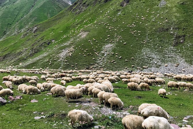 Kazbegi and Trusso Valley Off-Road Adventure - Highlights of the Tour