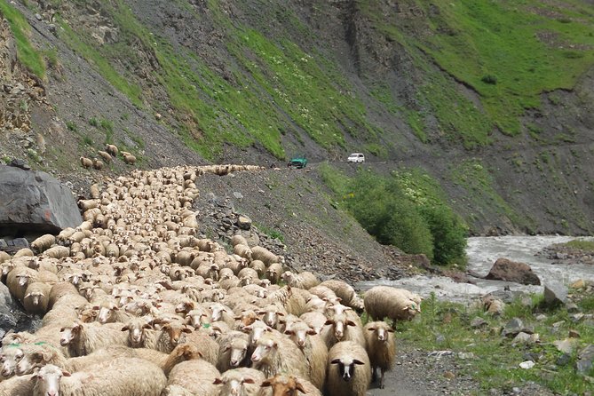 Kazbegi Day Trip - Frequently Asked Questions