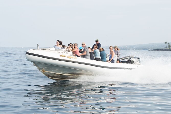 Kealakekua Bay Captain Cook Snorkel Exclusive - Logistics