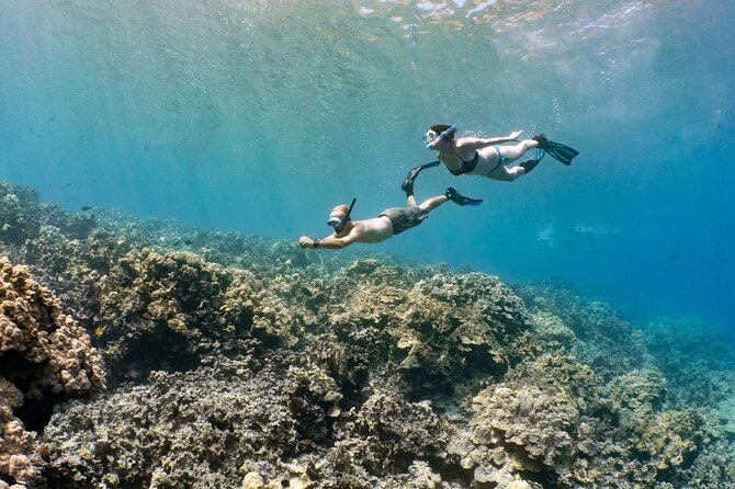 Kealakekua Bay Snorkel - Sights Along the Kona Coast