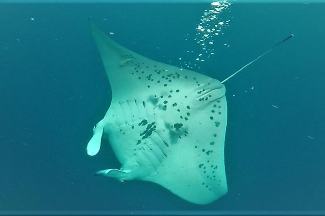 Keauhou Manta Ray Night Snorkel - Directions