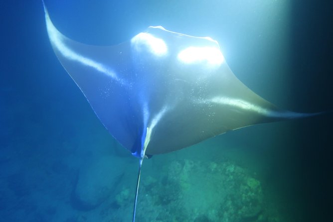 Keauhou Manta Ray Night Snorkel - Meeting Point