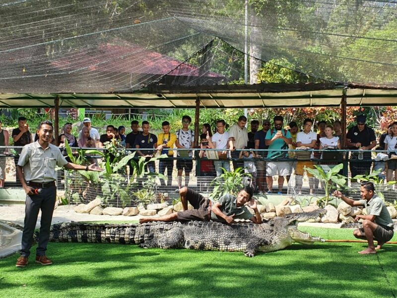 Kedah: Crocodile Adventureland Langkawi Admission Ticket - Crocodile and Rare Species
