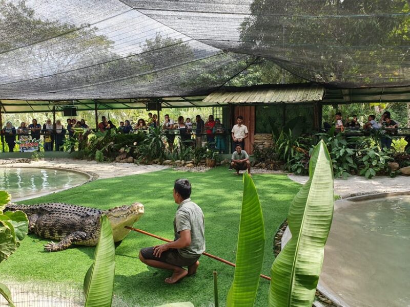 Kedah: Crocodile Adventureland Langkawi Admission Ticket - Feeding Sessions and Activities