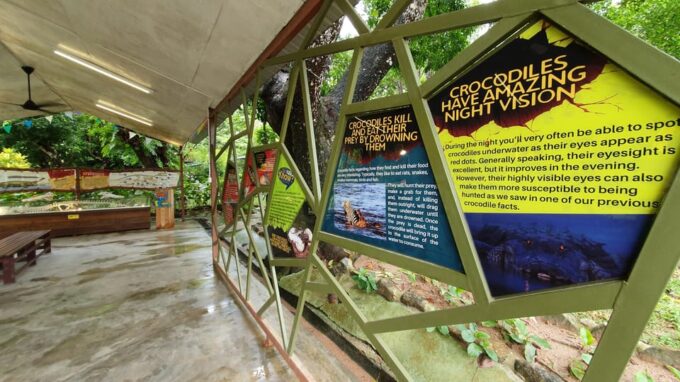 Kedah: Crocodile Adventureland Langkawi Admission Ticket - Thrilling Crocodile Shows