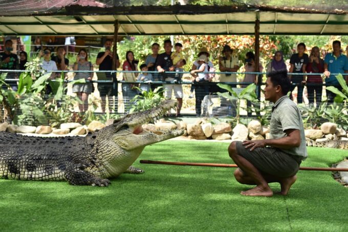 Kedah: Crocodile Adventureland Langkawi Admission Ticket - Frequently Asked Questions