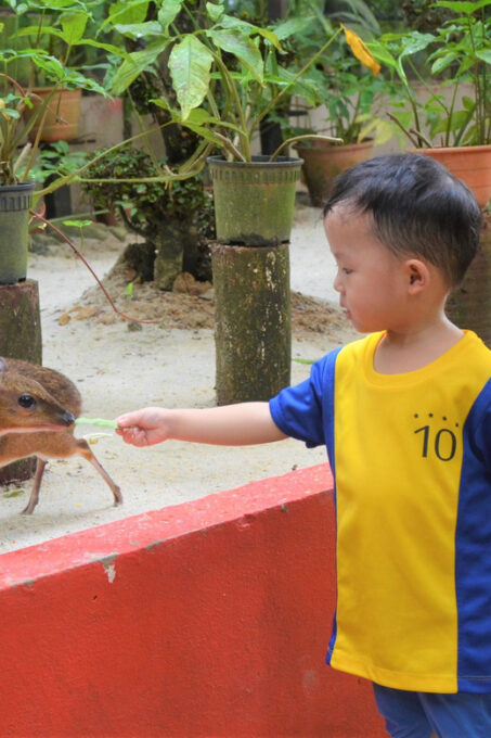 Kedah: Wildlife Park Langkawi Admission Ticket - Additional Information and Tips