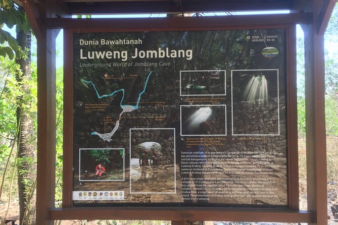 Kediwung Sunrise, Jomblang Cave, Timang Gondola Beach Day Tour - Descending Into Jomblang Cave