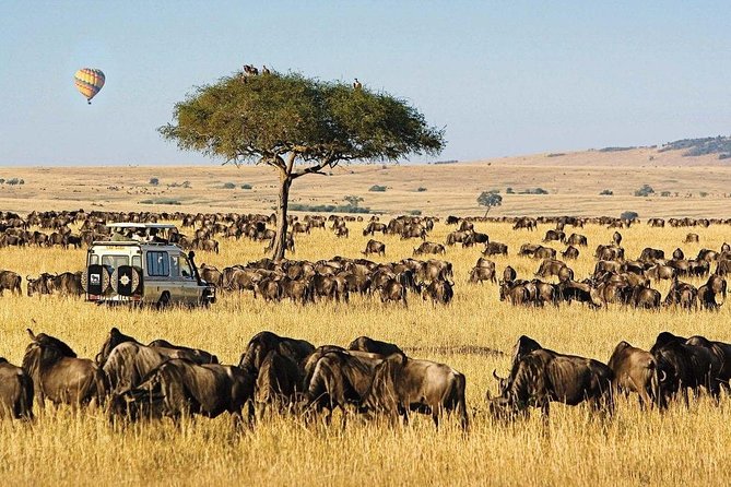 Keekorok Lodge 3 Days, 2 Nights Maasai Mara Offer - Tour Operator Information