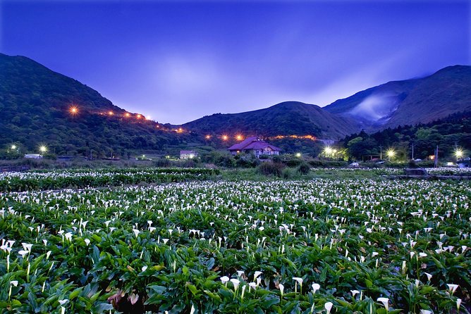 Keelung Shore Excursion: Yangmingshan Hot Spring and Wild Vegetable Cuisine Tour - Customizable Itinerary Options