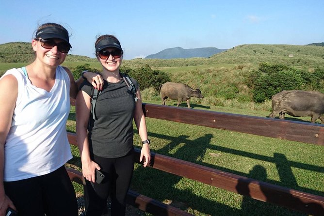 Keelung Shore Excursion: Yangmingshan Hot Spring and Wild Vegetable Cuisine Tour - Accessibility and Considerations