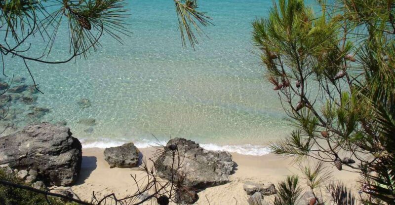 Kefalonia: Avithos Beach Escape & Culinary Wine Experience - Activities Included