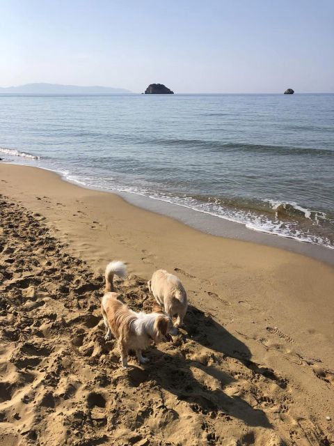 Kefalonia: Avithos Beach Escape & Culinary Wine Experience - Booking Details