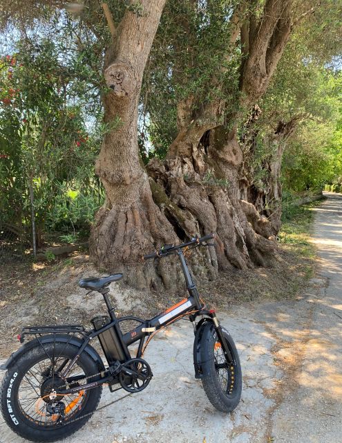 Kefalonia Farm Tour on E-Bikes - Key Points