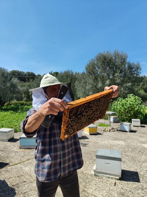 Kefalonia Honey Tour on E-Bikes - Tour Activities and Experiences
