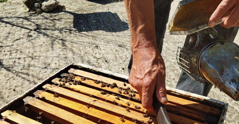 Kefalonia Honey Tour on E-Bikes - Inclusion and Whats Provided