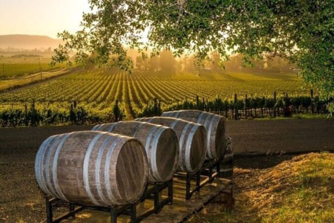 Kefalonia: Private Wine Tasting With Vineyard Tour - Mobility Considerations