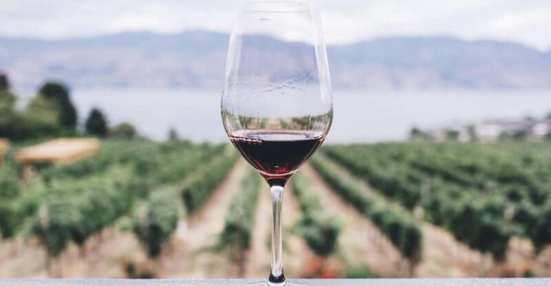 Kefalonia Wine Adventure in 3 Wineries With Tastings - Wine Varieties Sampled