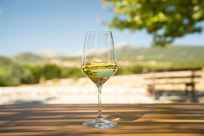 Kefalonia Wine Adventure in 3 Wineries With Tastings - Recommendations for Visitors