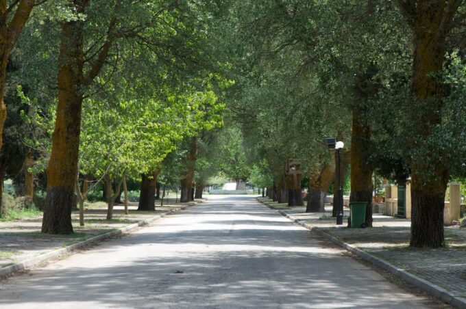 KEFALONIA: WINE TASTING TOUR - Return to Accommodation