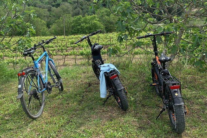 Kefalonia Wine Tour on E-Bikes - Wine Tasting Experience