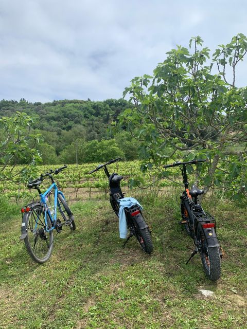 Kefalonia Wine Tour on E-Bikes - Inclusions and Highlights